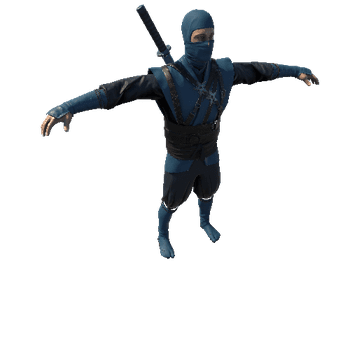 Ninja Blue